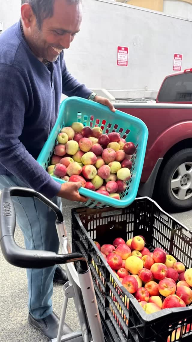 Some harvests are meant for today.
These are meant for every season. 🍎🌿

Fresh from our orchard, these beautiful apples are on their way to become small jars of goodness you’ll enjoy long after the harvest has passed.🌿

#BhoomaFarms #AppleHarvest #FromOrchardToJar